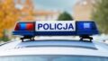 Obława na poszukiwanych. Wpadło 20 osób