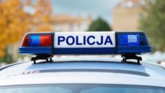Obława na poszukiwanych. Wpadło 20 osób